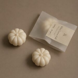 Autumn Discovery Set